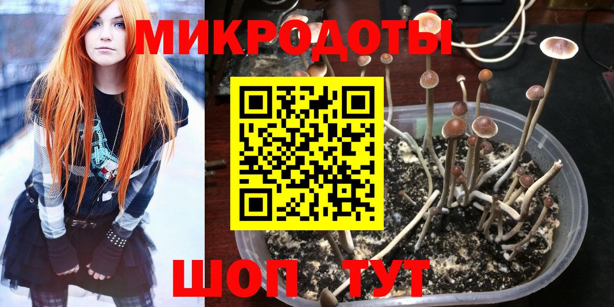 Туапсе  Псилоцибиновые грибы мицелий  Вход с VPN 